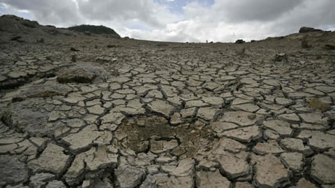 El NiÑo  seen as ‘biggest for over a century’