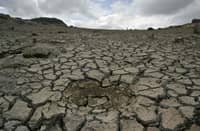El NiÑo seen as ‘biggest for over a century’
