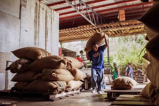 Nestlé backs DA coffee industry push