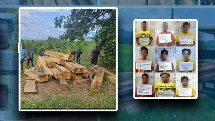PRO2 arrests 147, seizes P812-K timber