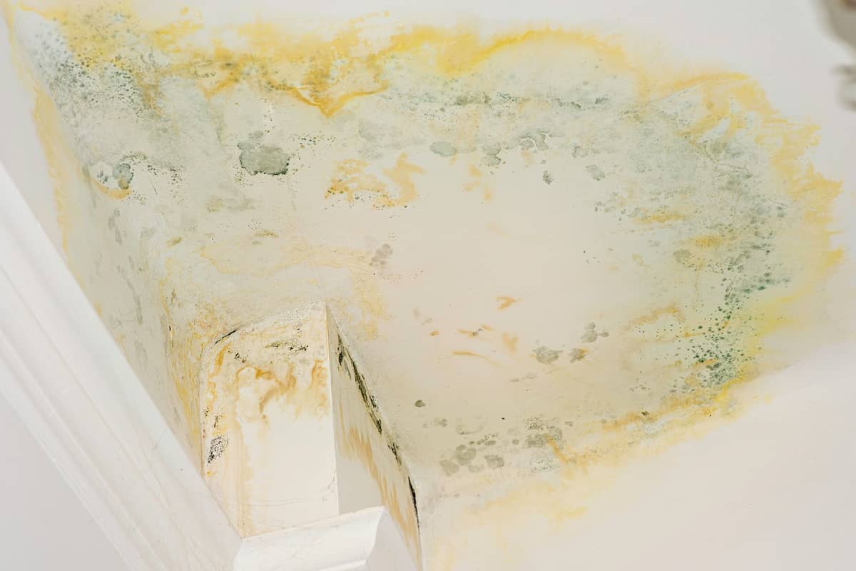 WATER damage is visible inside a residential unit, with leaks and moisture creating concerns over mold, mildew and the safety of the living space.