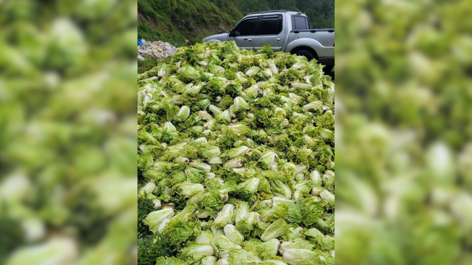 Benguet farmers face spoilage losses following typhoons Luis, Maymay