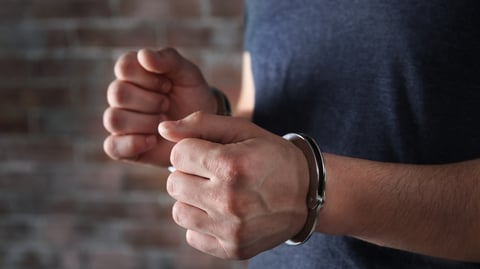 Farmer held for partner abuse, illegal gun