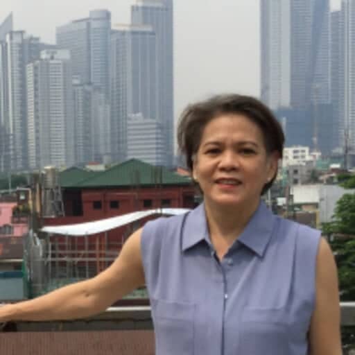 PHILIPPINE Institute of Architects (PIA) vice president for Public Affairs Ma. Cynthia Naval.