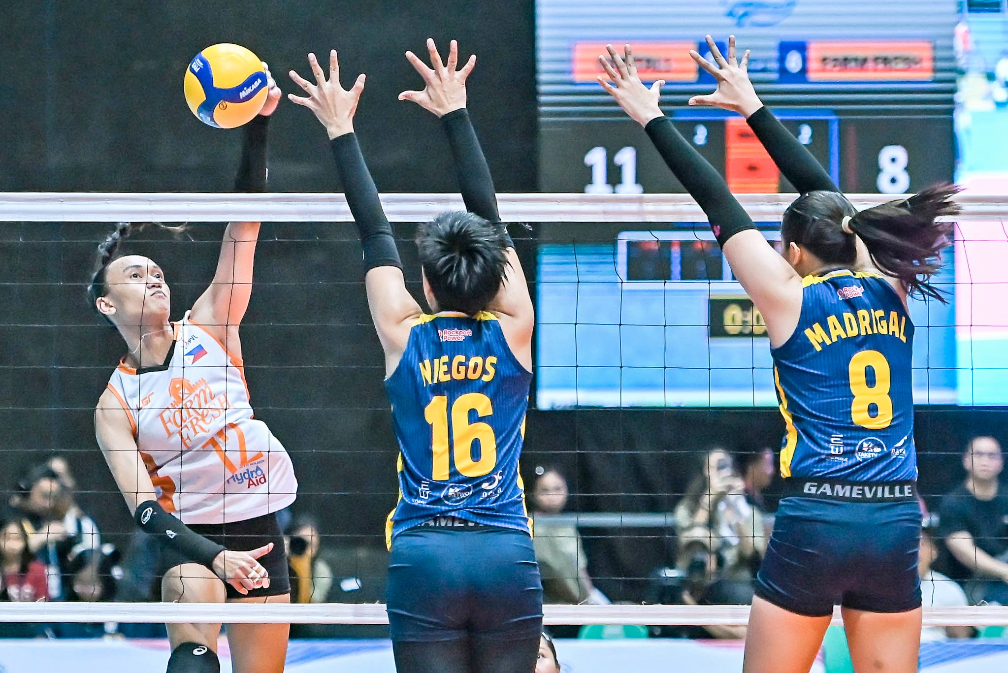 Superb showing: Foxies turn back Solar Spikers behind Tubu