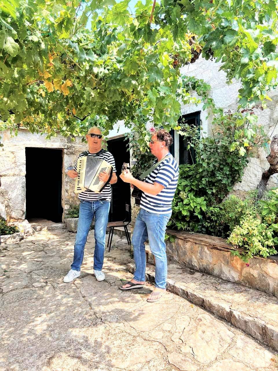 An accordion-and-strings-wielding duo.