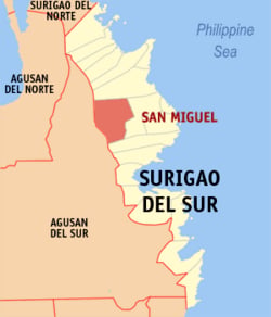 Joint security forces recover NPA firearms cache in Surigao del Sur