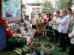 TESDA, DA push urban agriculture