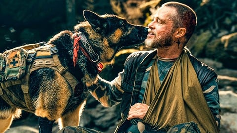  Brad Pitt’s new survival test
