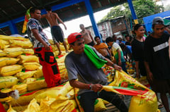 Rice distribution in Baseco