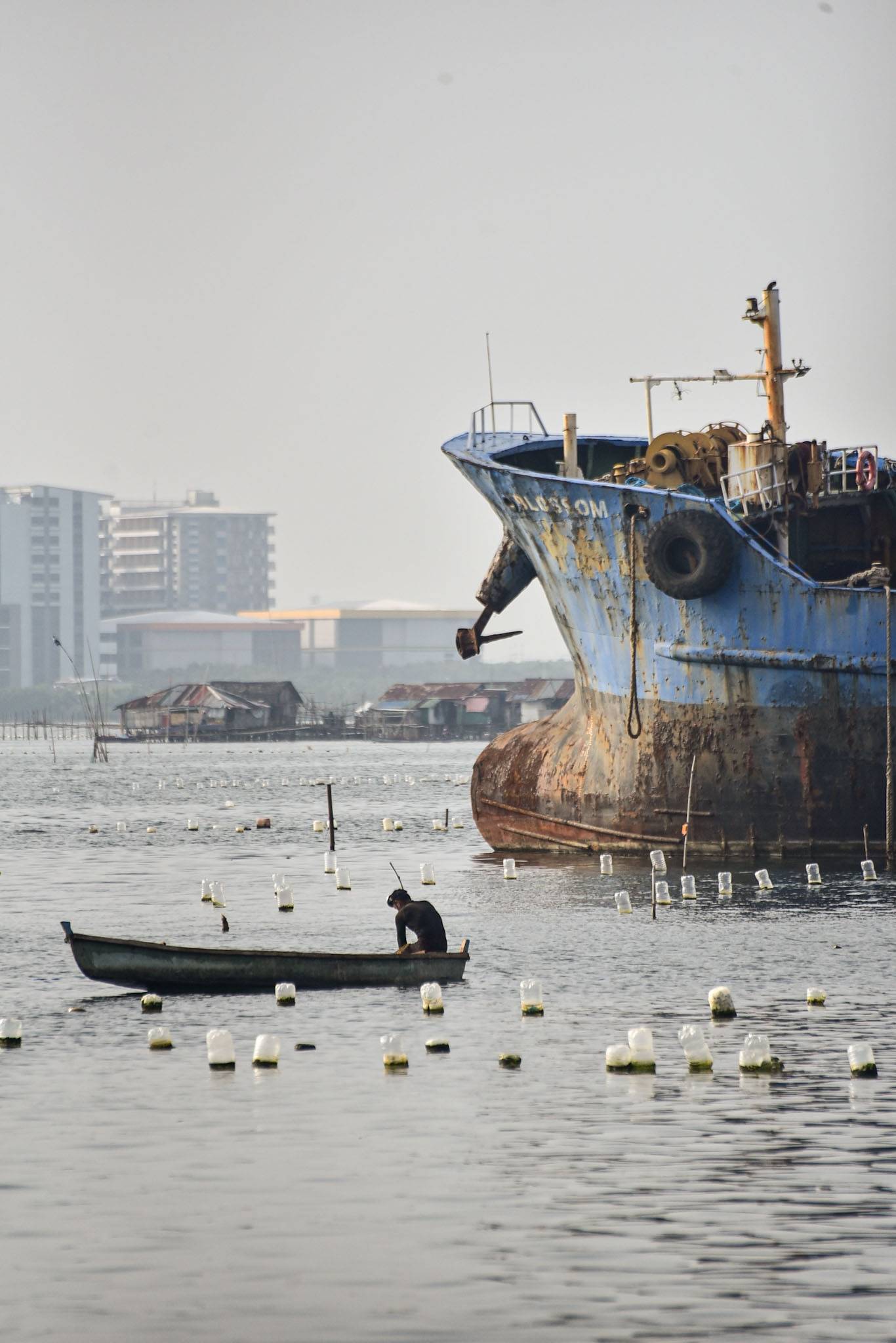 Floating plastic bottles are used as markers to indicate a line of wild green sea mussels in Cavite City, on August 24

Fishermen say plastic bottles can harm the ocean and prefer bamboo as a more sustainable buoyant marker. l Zedrich Xylak Madrid