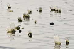 Mussel farms in Cavite City