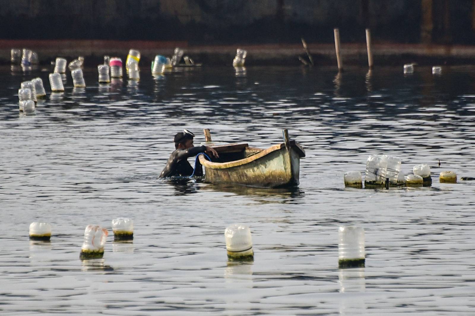 Fishermen in Cavite City were forced to prematurely harvest their mussels after a ship damaged at least 10 tahong farms on Monday, 24 August. | Zedrich Xylak Madrid
