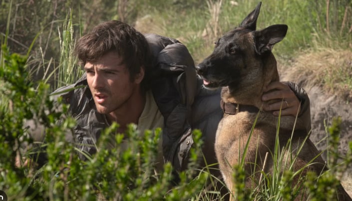 You and your dog vs. end of the world