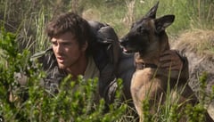 You and your dog vs. end of the world