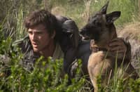 ‘Dog Stars’ is an post-apocalyptic science fiction film directed by Ridley Scott , based on the 2012 novel.