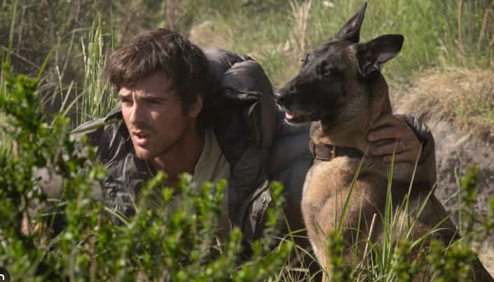 You and your dog vs. end of the world