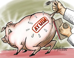 Pork-ridden budget