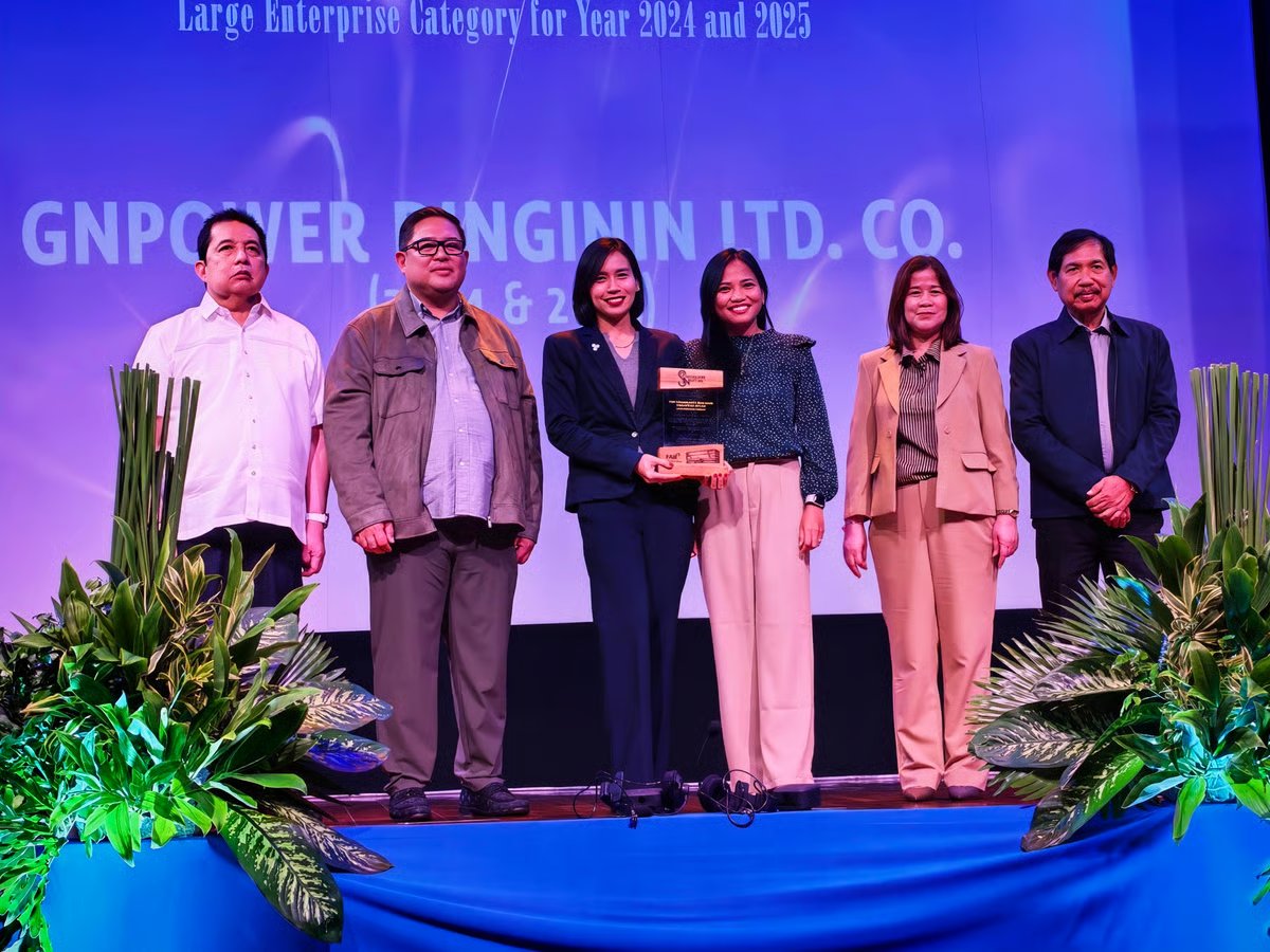 GNPower Dinginin wins top community building award