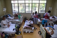 144 Leptospirosis patients in San Lazaro Hospital