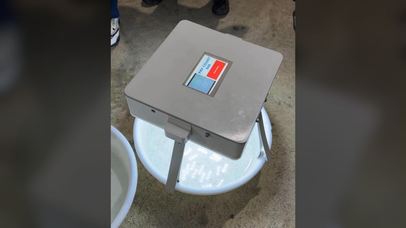 DOST develops automated milkfish fry 