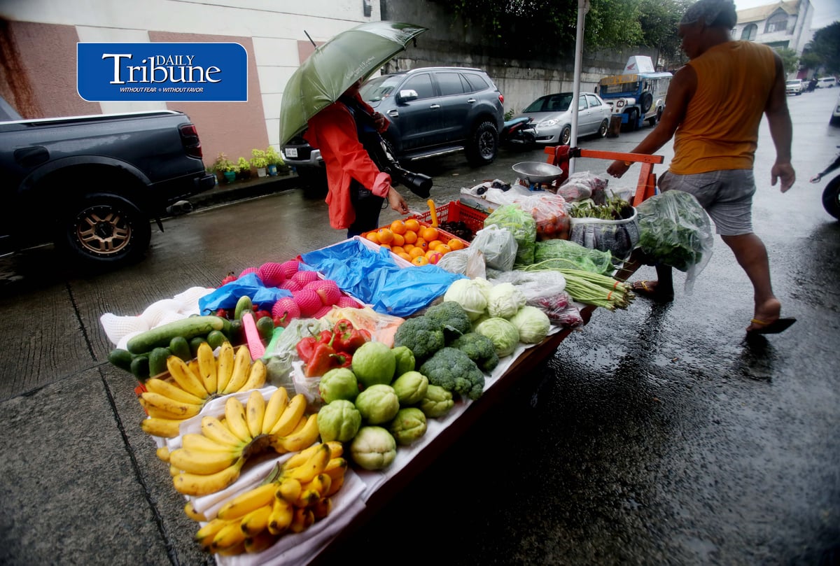 (August 28 2026) Heavy rain is not deferred to a fruit and vegetables vendor to go selling his products in Quezon City on Friday August 28 2026, to earn money to spend on everyday expenses for his family. Photo/Analy Labor