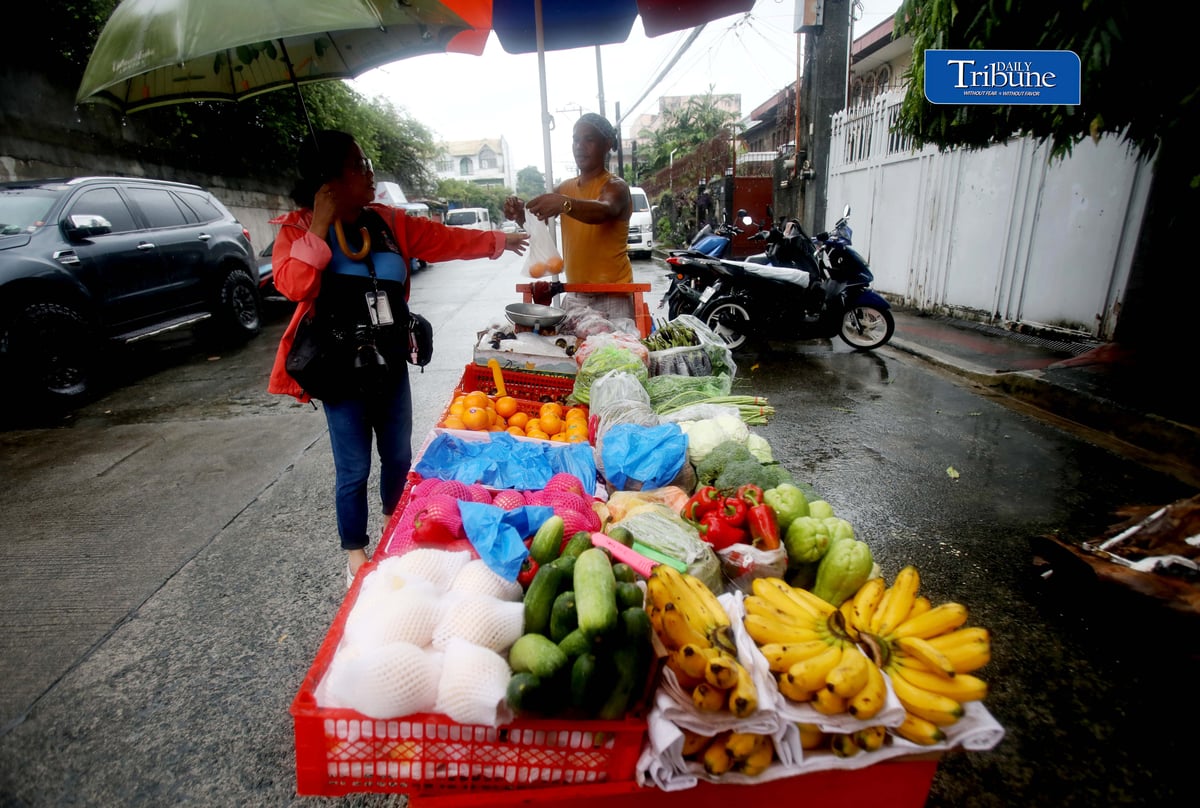 (August 28 2026) Heavy rain is not deferred to a fruit and vegetables vendor to go selling his products in Quezon City on Friday August 28 2026, to earn money to spend on everyday expenses for his family. Photo/Analy Labor