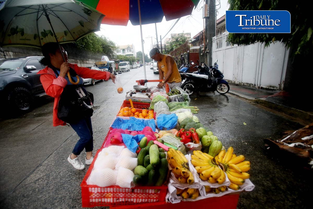 (August 28 2026) Heavy rain is not deferred to a fruit and vegetables vendor to go selling his products in Quezon City on Friday August 28 2026, to earn money to spend on everyday expenses for his family. Photo/Analy Labor