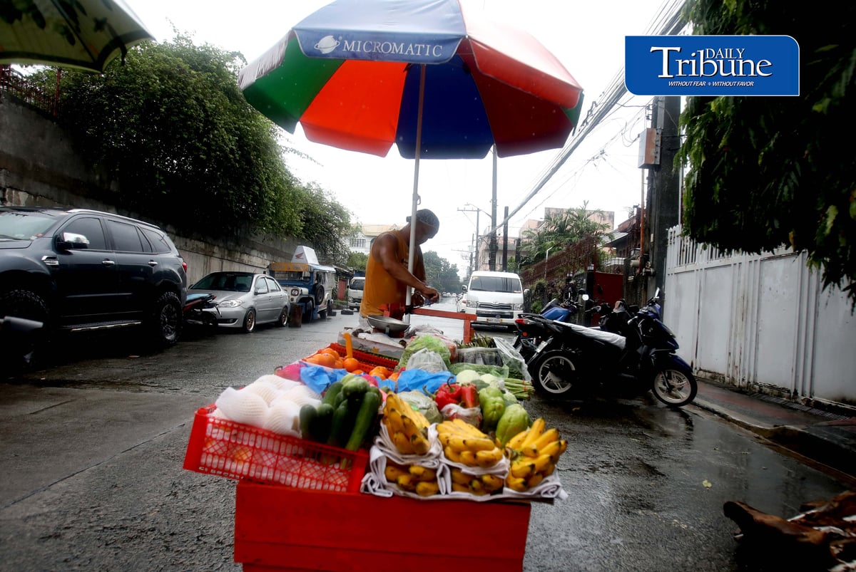 (August 28 2026) Heavy rain is not deferred to a fruit and vegetables vendor to go selling his products in Quezon City on Friday August 28 2026, to earn money to spend on everyday expenses for his family. Photo/Analy Labor