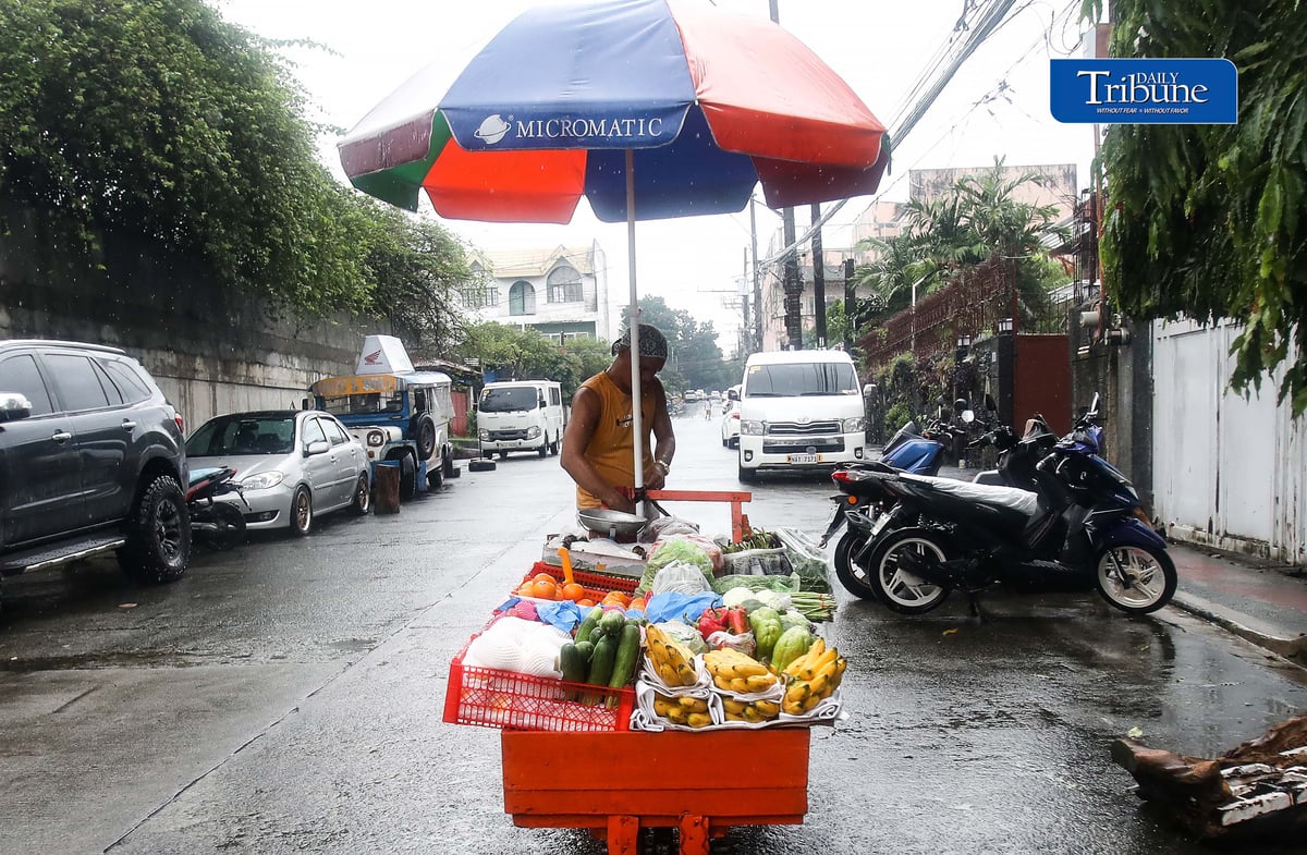 (August 28 2026) Heavy rain is not deferred to a fruit and vegetables vendor to go selling his products in Quezon City on Friday August 28 2026, to earn money to spend on everyday expenses for his family. Photo/Analy Labor