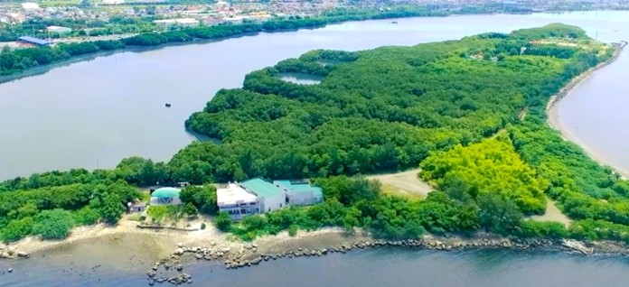 Las Piñas-Parañaque Wetland Park serves as Metro Manila’s natural shield