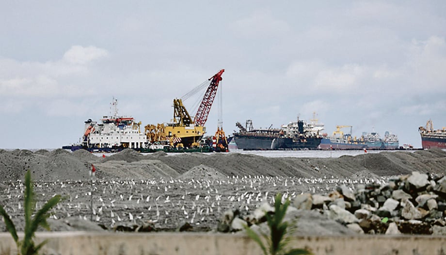 Thecontinuing threat of reclamation along Manila Bay posessignificant risks to the wetland'secosystem,biodiversity, and long-term protection.