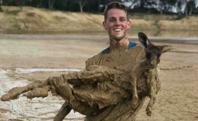 Kangaroo rescued after being trapped in deep mud