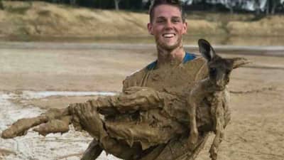Kangaroo rescued after being trapped in deep mud