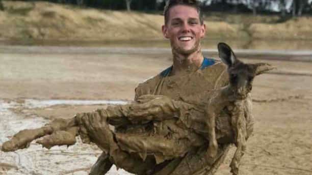 Kangaroo rescued after being trapped in deep mud