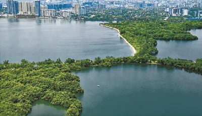 Las Piñas–Parañaque Wetland Park: Protecting Nature, Safeguarding the Future