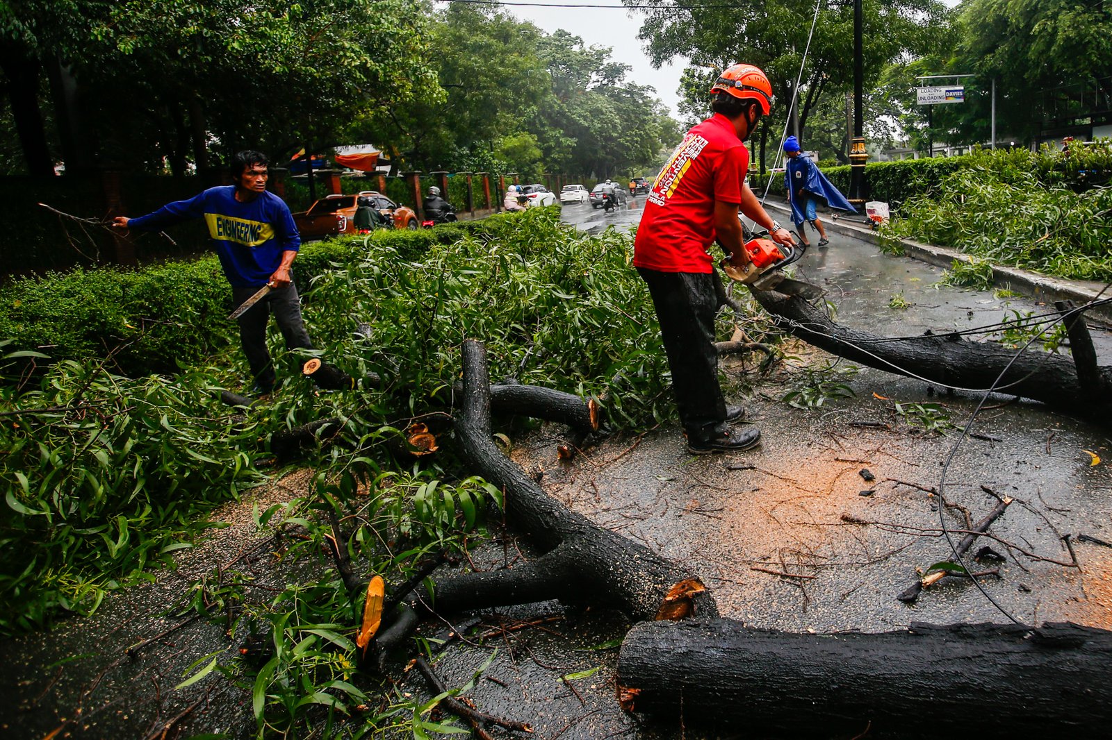 Personnel from the Manila Disaster Risk Reduction and Management Office remove a tree trunk that blocked one lane of P. Burgos Avenue on Sunday, 30 August 2026, after a tree fell amid strong winds.