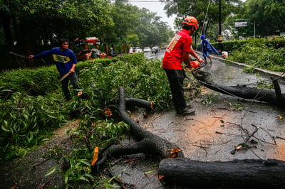 Road clearing