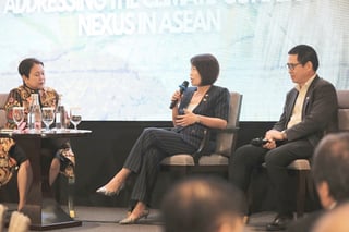 Singapore, Vietnam back Phl climate agenda