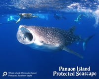 Panaon Island Protected Seascape turns One