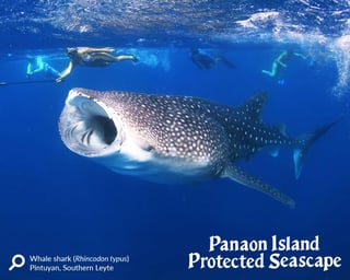 Panaon Island Protected Seascape turns One