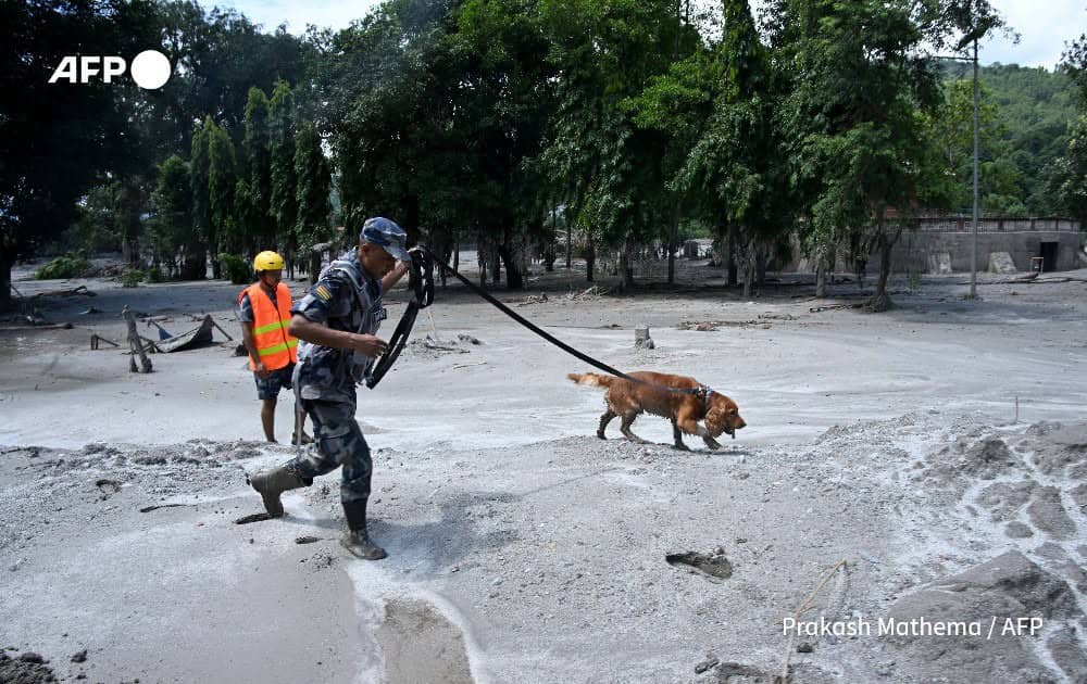 Photo courtesy of AFP News Agency