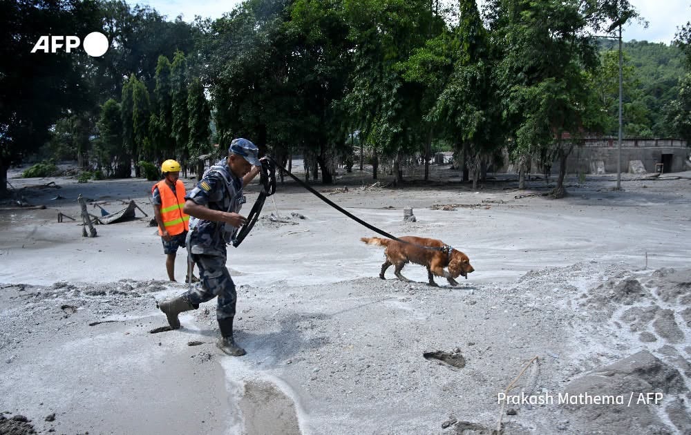 Photo courtesy of AFP News Agency