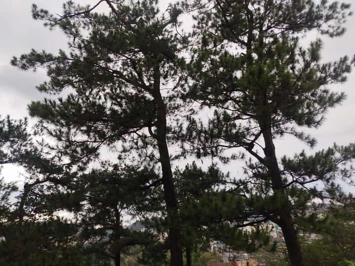 Baguio eyes green building code to curb overdevelopment