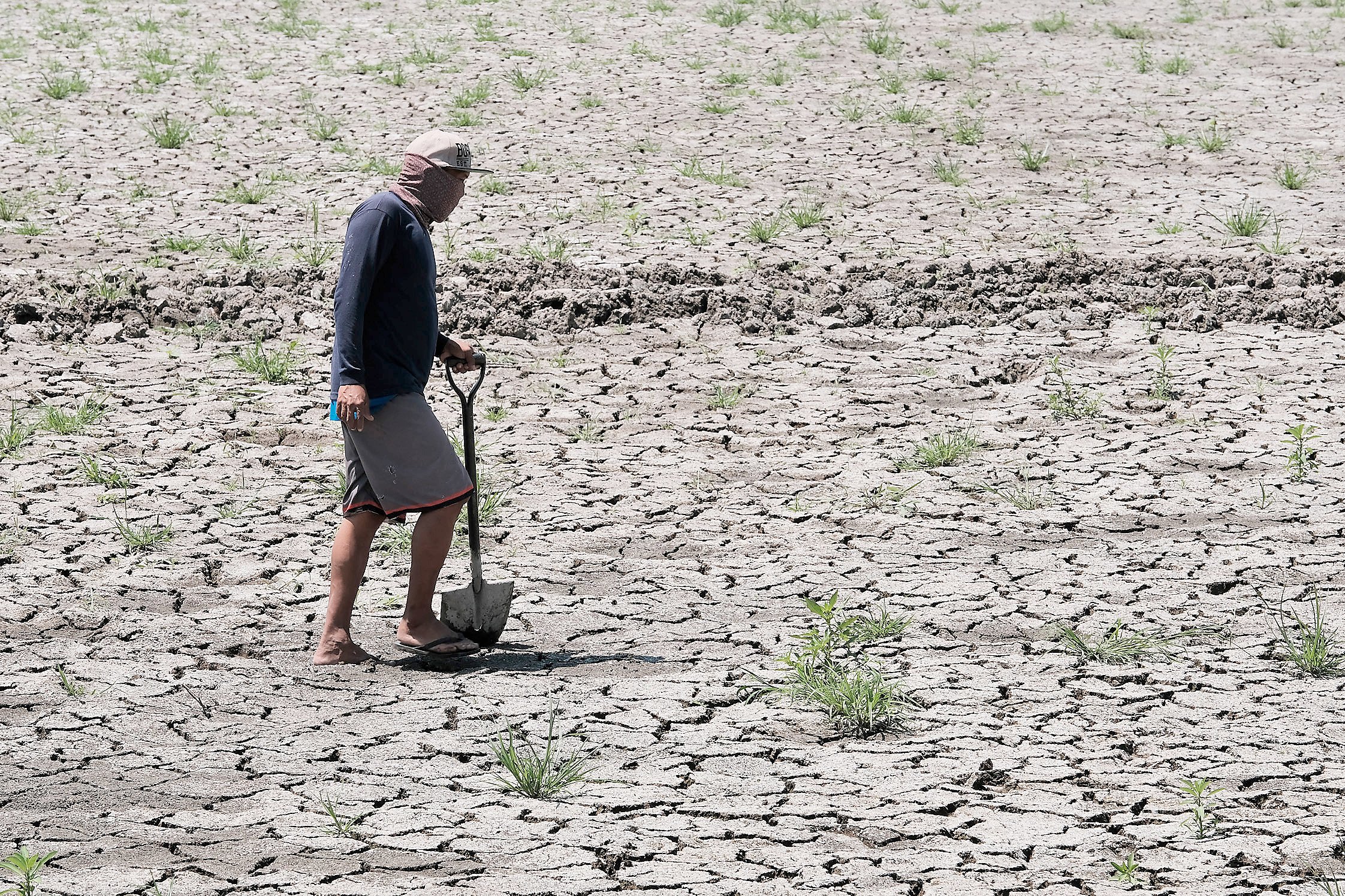 ‘Prepare for Super El Niño’
