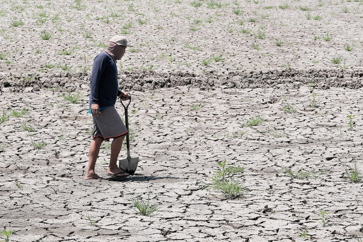 ‘Prepare for Super El Niño’