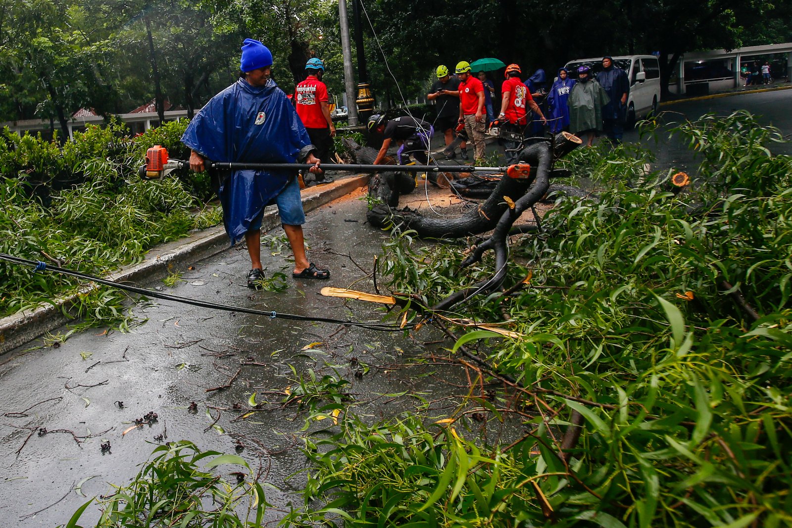 Personnel from the Manila Disaster Risk Reduction and Management Office remove a tree trunk that blocked one lane of P. Burgos Avenue on Sunday, 30 August 2026, after a tree fell amid strong winds.