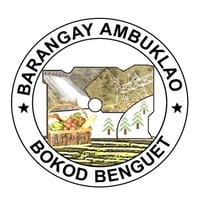 Benguet village seeks gov’t help over Agno River siltation