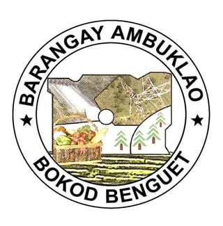 Benguet village seeks gov’t help over Agno River siltation