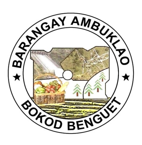 Benguet village seeks gov’t help over Agno River siltation